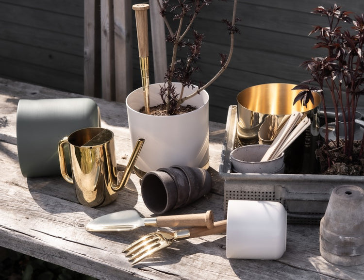 Vases & Pots